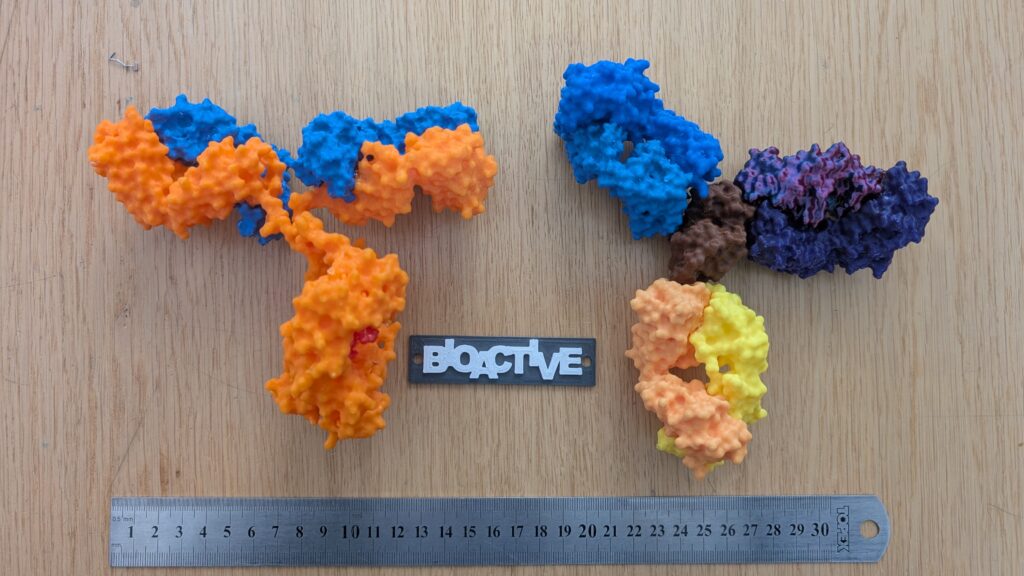 antibodies